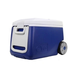 50L plastic ijskistkoeler