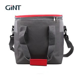 Plastic auto-ijs geïsoleerde lunchtas