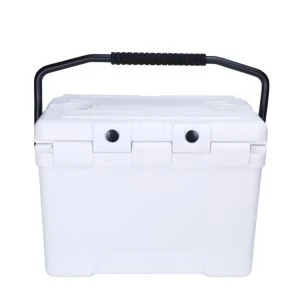 Hard plastic voedsel fruit ijsbox